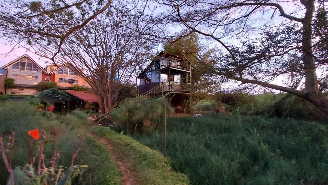Yellow Haven Lodge Kampala Dış mekan fotoğraf