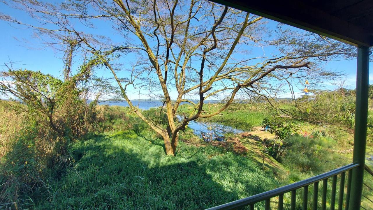 Yellow Haven Lodge Kampala Dış mekan fotoğraf