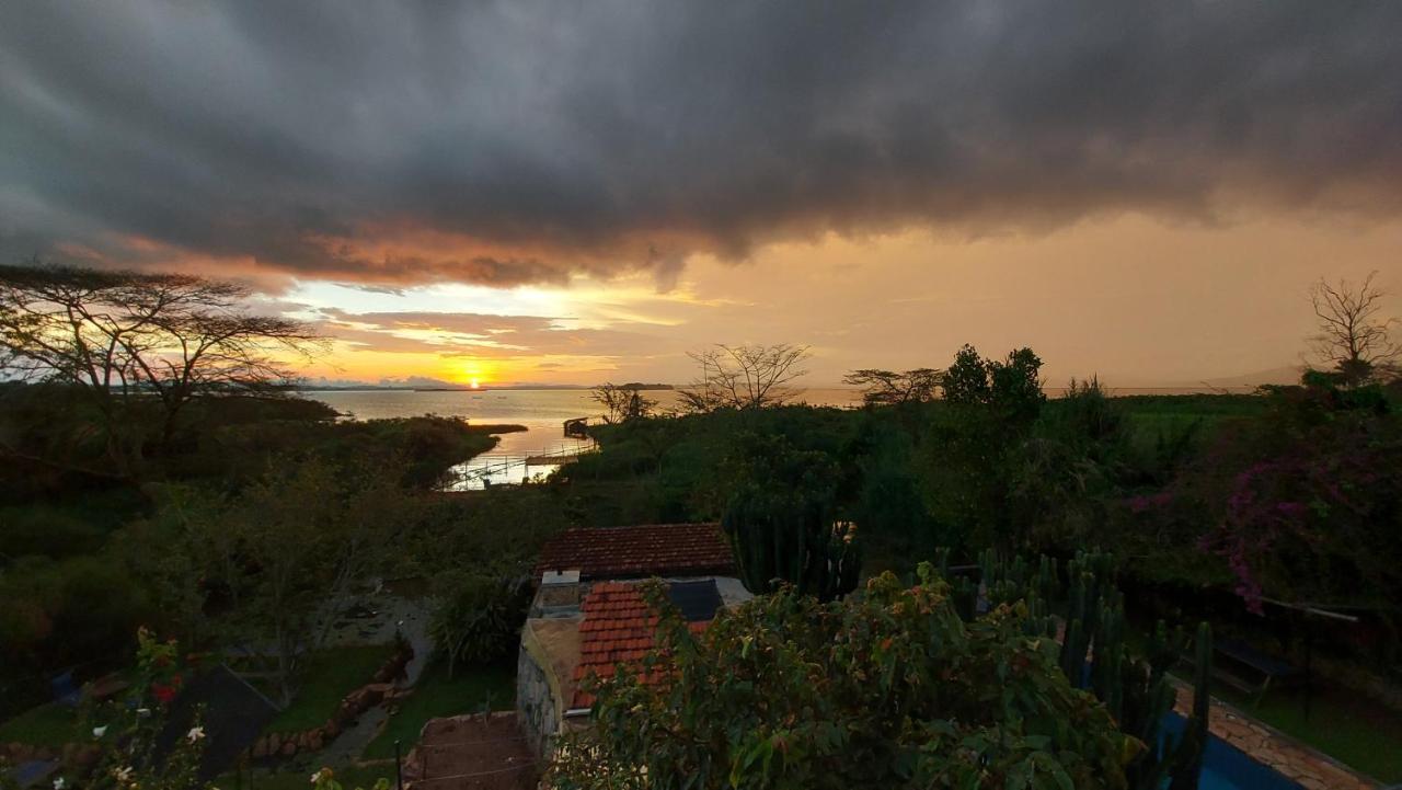 Yellow Haven Lodge Kampala Dış mekan fotoğraf