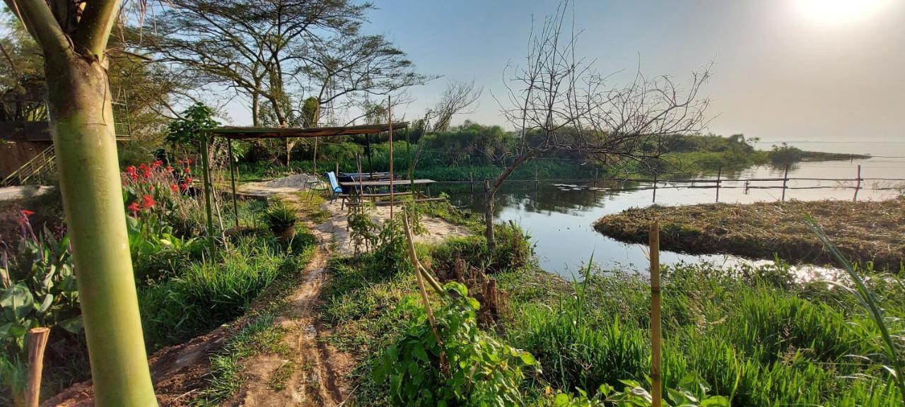Yellow Haven Lodge Kampala Dış mekan fotoğraf