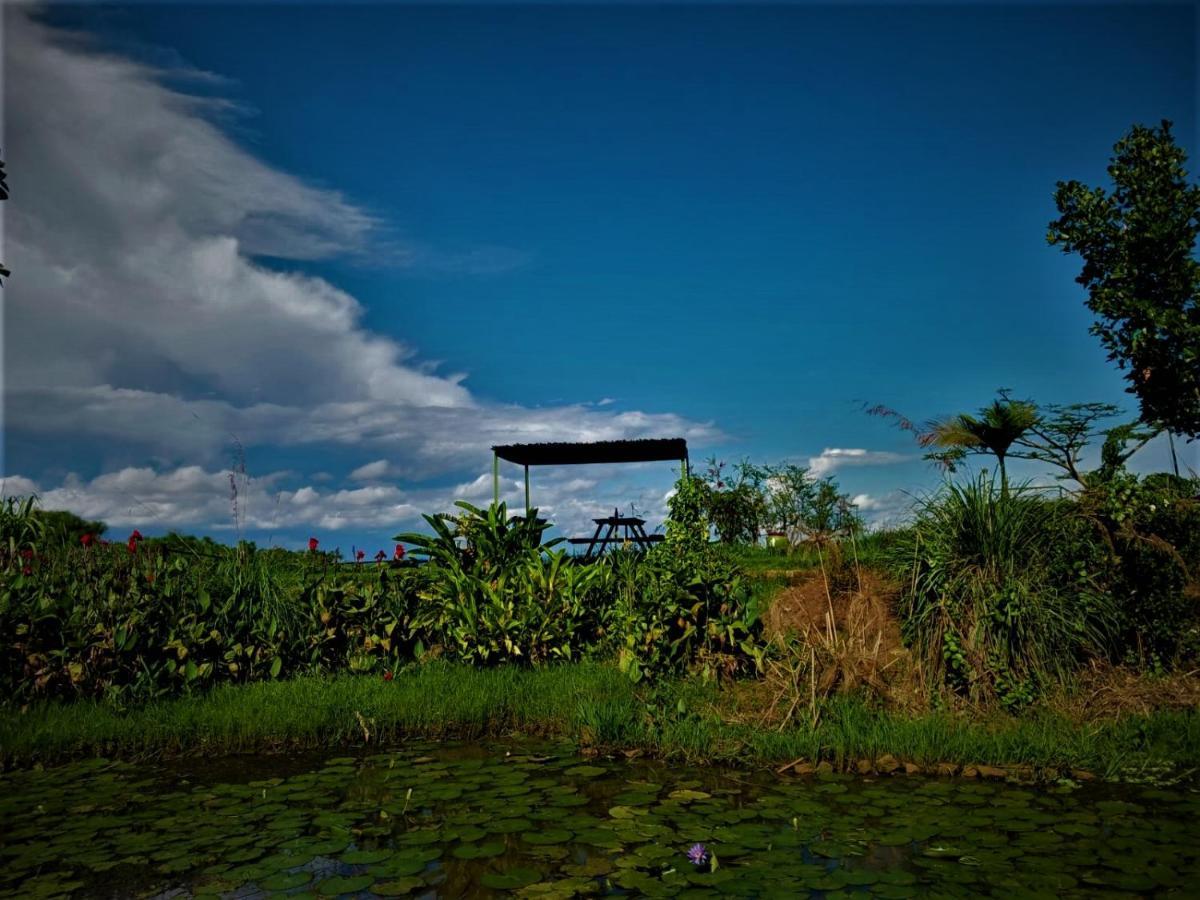 Yellow Haven Lodge Kampala Dış mekan fotoğraf