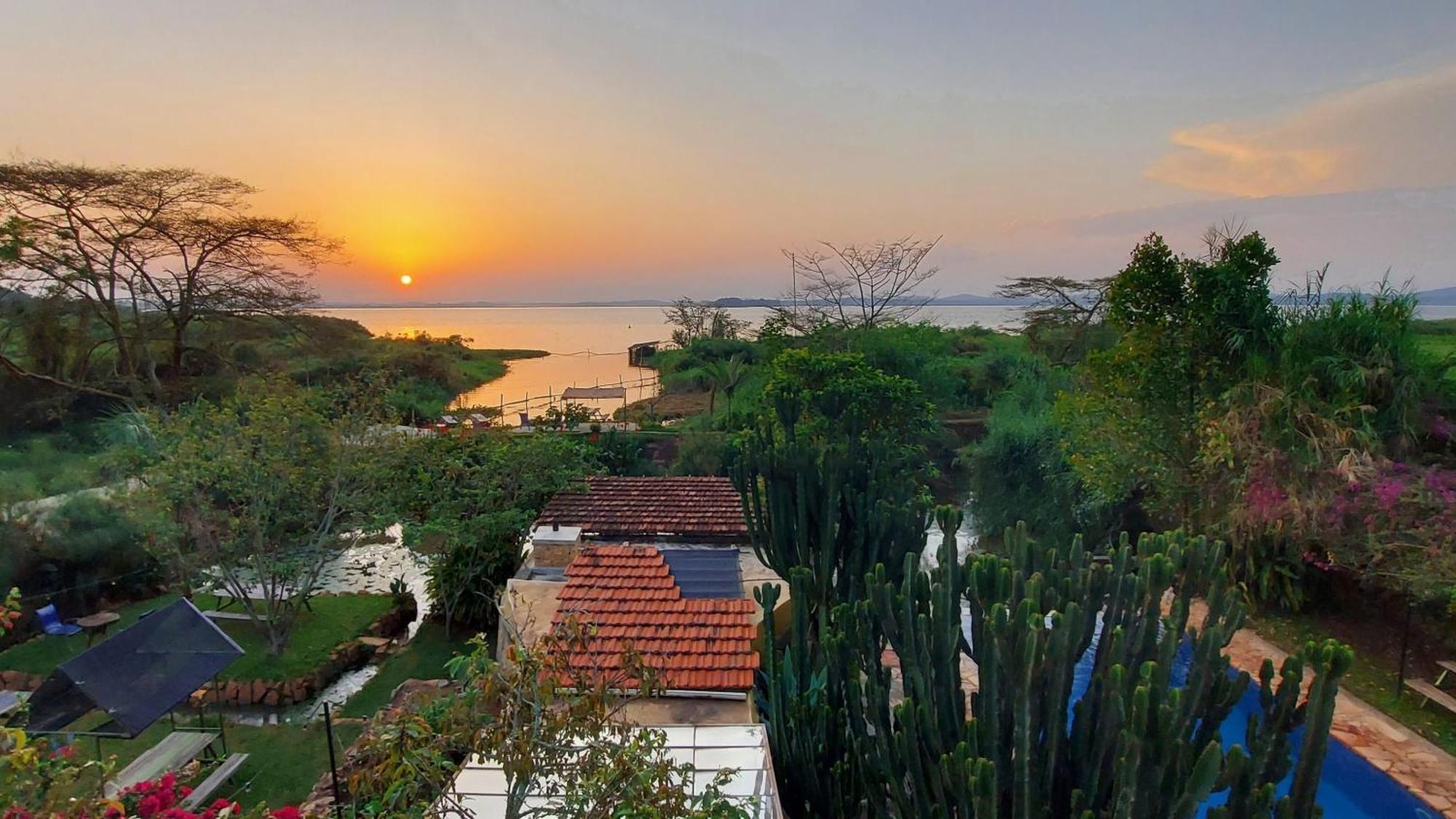 Yellow Haven Lodge Kampala Dış mekan fotoğraf