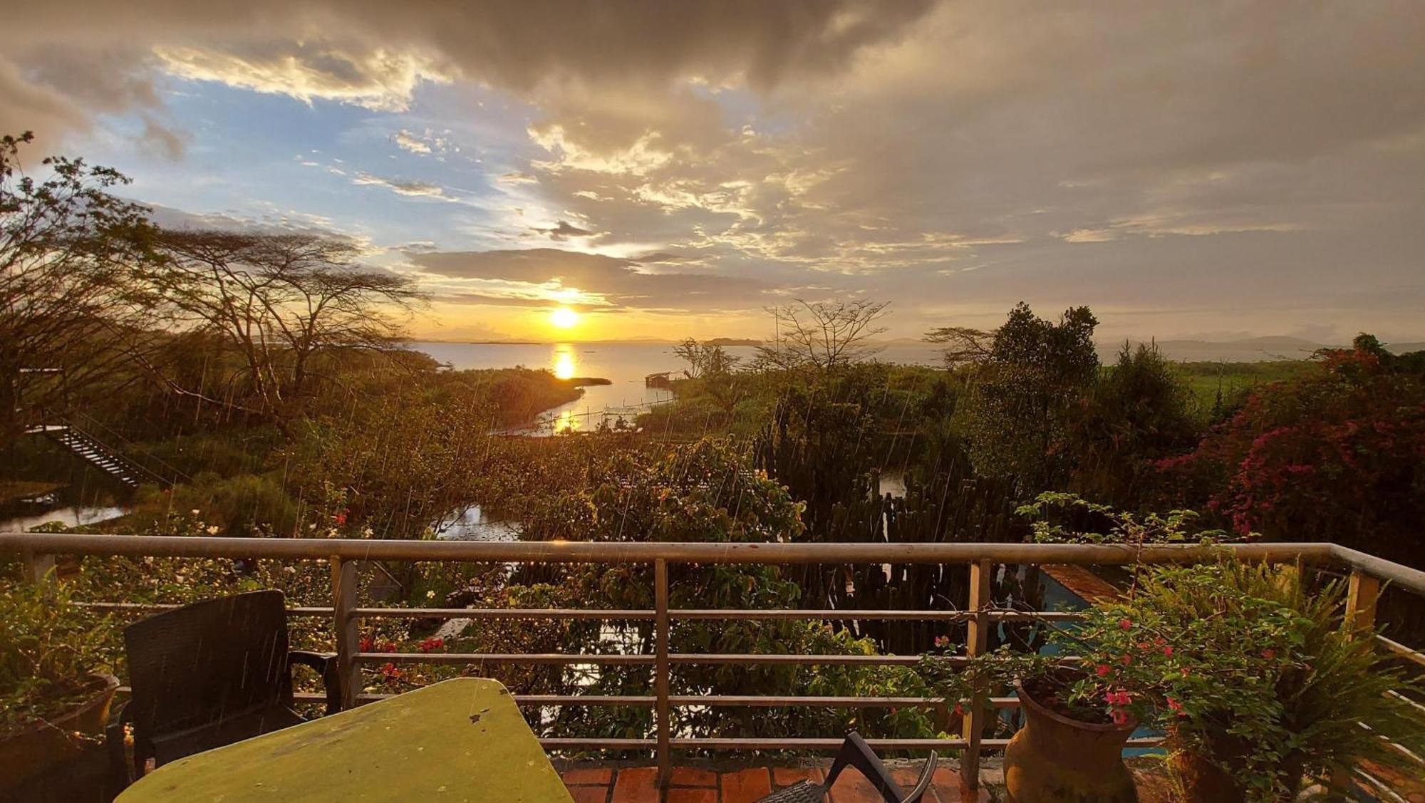 Yellow Haven Lodge Kampala Dış mekan fotoğraf