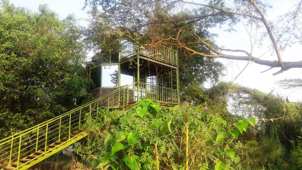 Yellow Haven Lodge Kampala Dış mekan fotoğraf